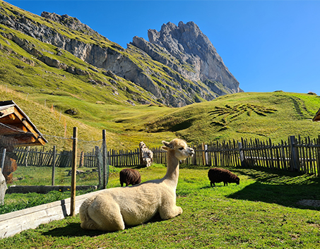 Dolomit görseli